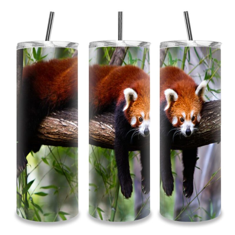 20oz Straight White Tumbler Cover Custom Print on Demand Australia Red Panda