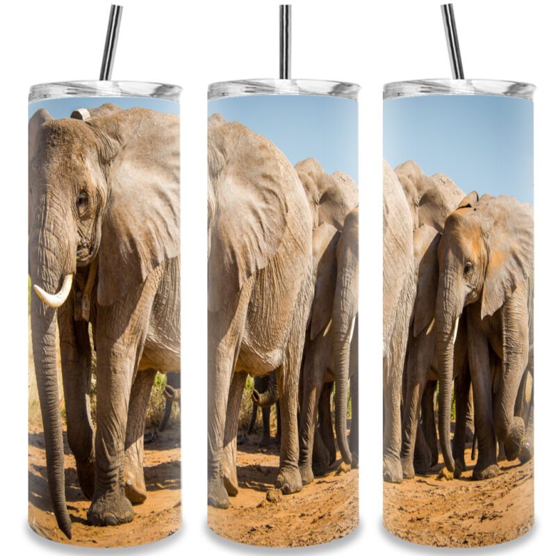 30oz Straight White Tumbler Cover Custom Print On Demand Australia Elephants