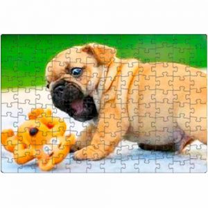 Custom Photo Image Design Online Print Pet Dog Cat Jigsaw A3 252 Piece