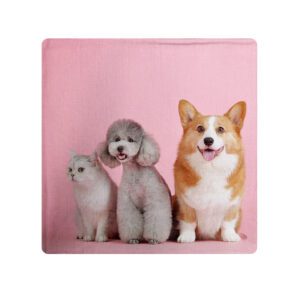 Line Pillow Case Cover Cover Custom Print On Demand Australia Pets