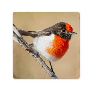 Soft Linen Pillow Case Cover Custom Print on Demand Australia Bird