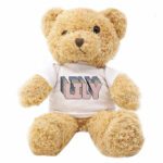 Teddy Bear Plush Toy 25cm Large Custom Print On Demand Australia