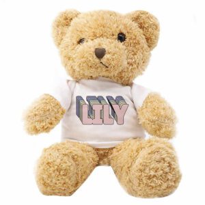 Teddy Bear Plush Toy 25cm Large Custom Print On Demand Australia